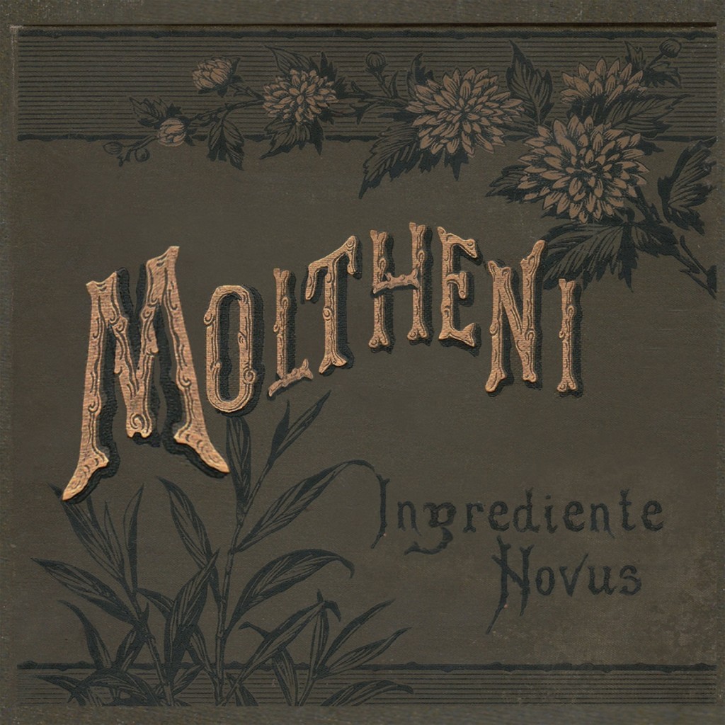 MOLTHENI Ingrediente Novus