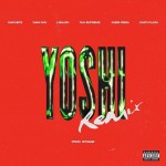 yoshi-remix