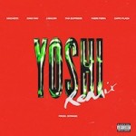 yoshi-remix-mini